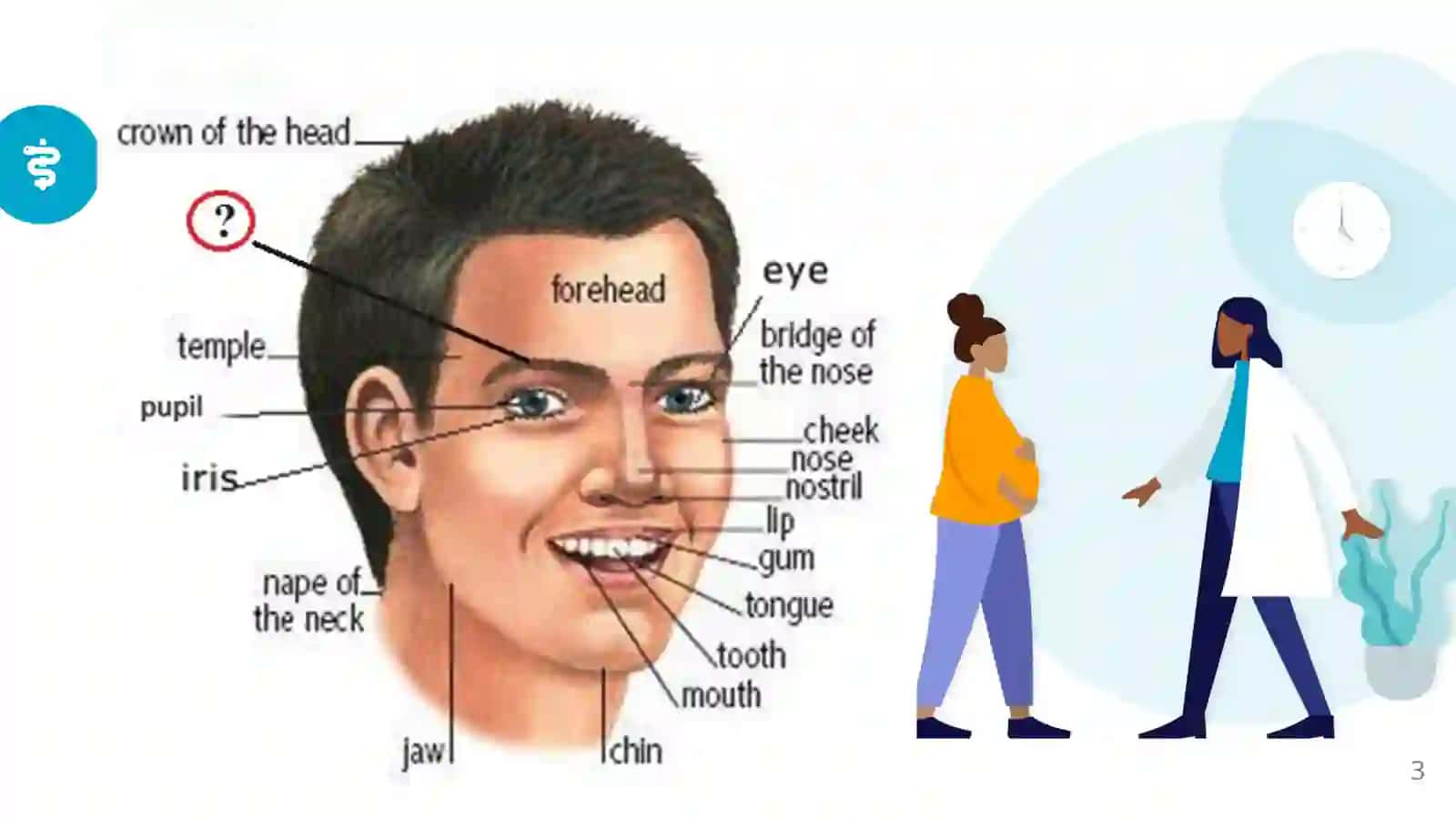 Parts of body 3