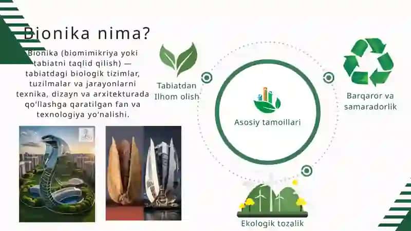 Bionik Arxitektura va Bionik Arxitektorlar 3