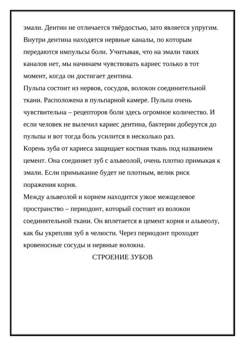 АНАТОМИЧЕСКОЕ СТРОЕНИЕ ЗУБОВ 3