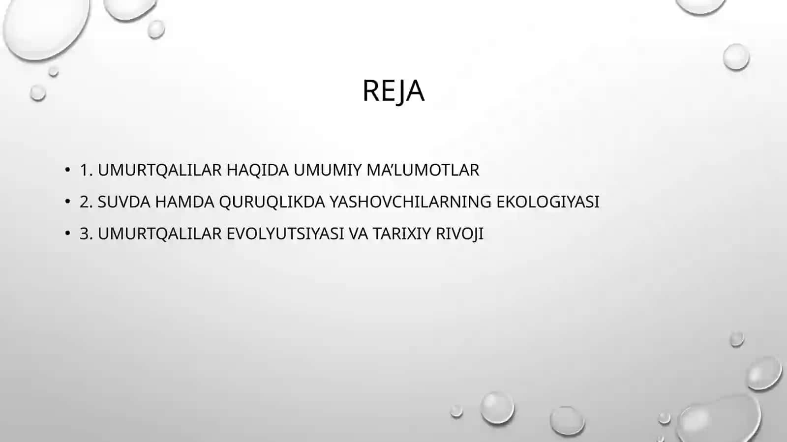 Umurtqalilarkenjatipi (Vertebrata) 3