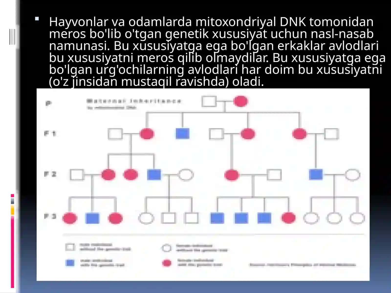 Mitoxondriya kasalliklari 3