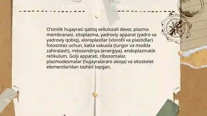 Oʻsimliklar hujayrasi 3
