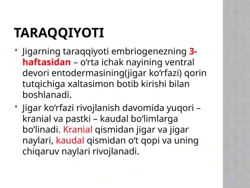 Jigar 3