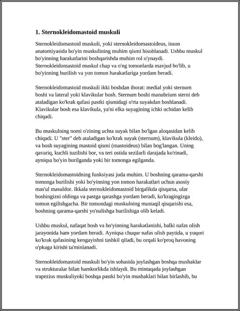 BÕYIN MUSKULLARI 3