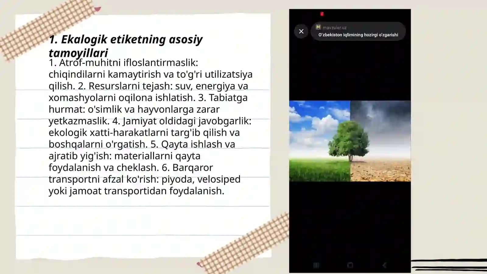 Ekalogik etiket 3