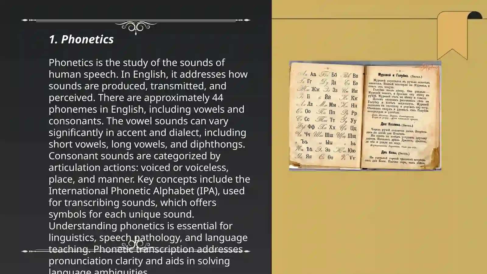 Language phonemena and their scientific terminology 3