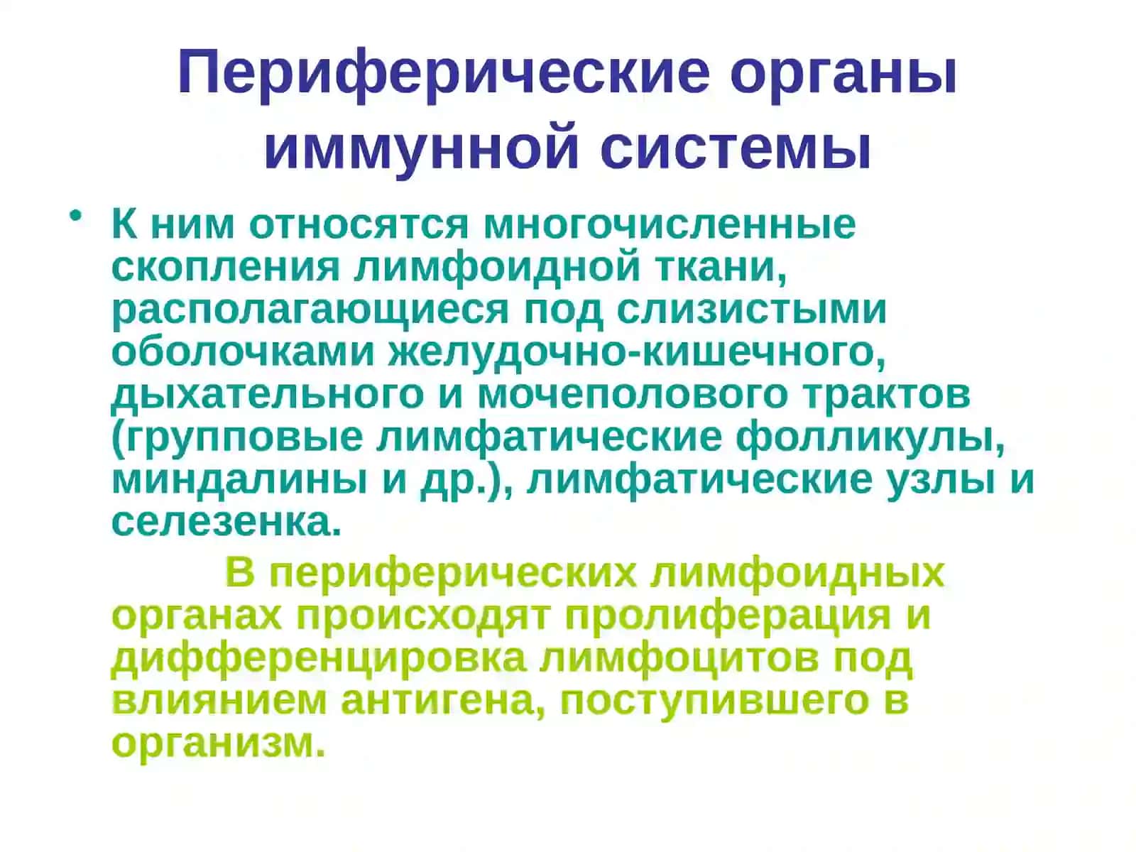 Иммунопатология.Амилоидоз 3