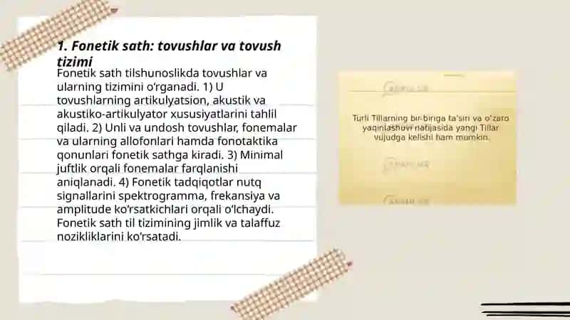 Til sathlari va tilning boʻlimlari 3