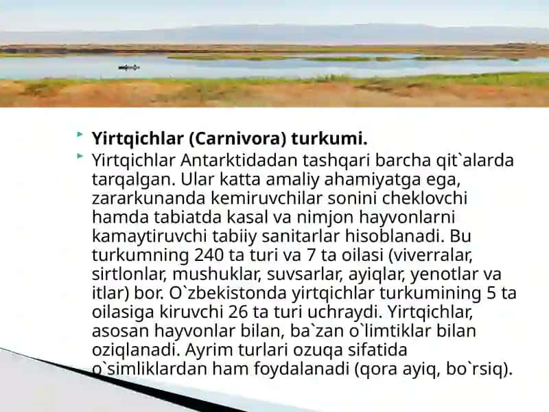 Sutemizuvchilarsinfi 3