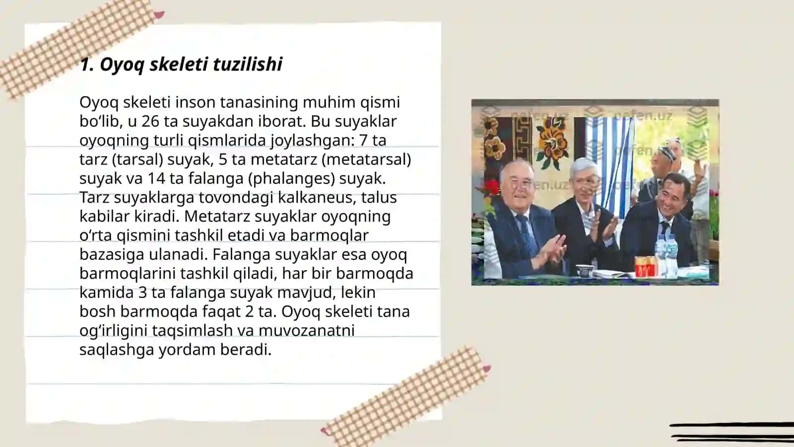 Oyoqning kamar va erkin suyaklari 3