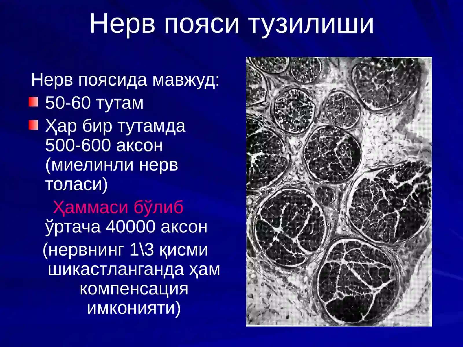 Нерв пояларининг операциялар 3