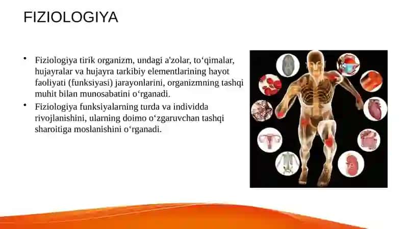 Fiziologiya 3