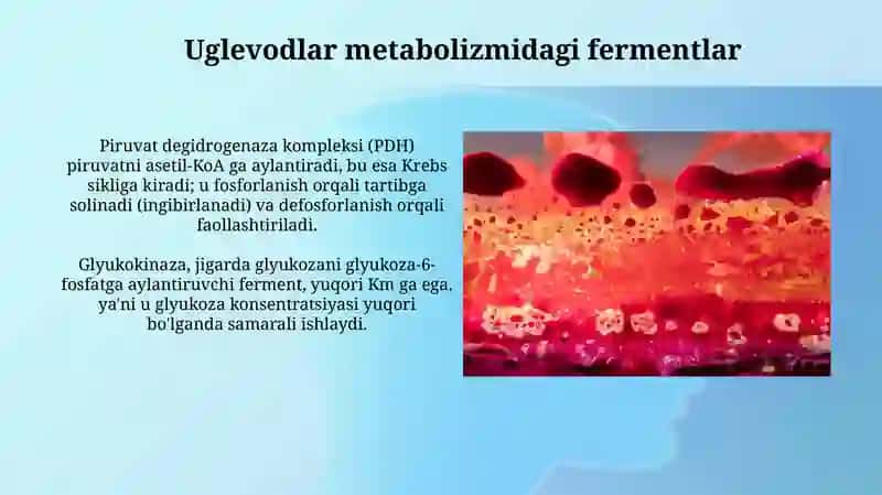 Moddalar almashinuvida ishtirok etadigan fermentlar 3