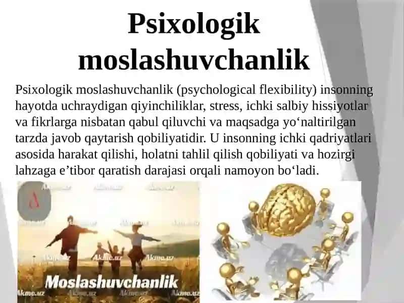Psixologik moslashuvchanlik 3