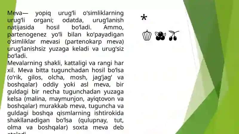 Meva va Urugʻ 3