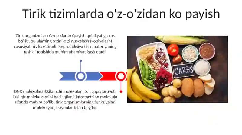 Uglevodlar almashinuvi va funksiyalari 3
