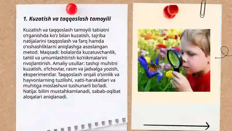Kuzatish va taqqoslash tamoyili 3