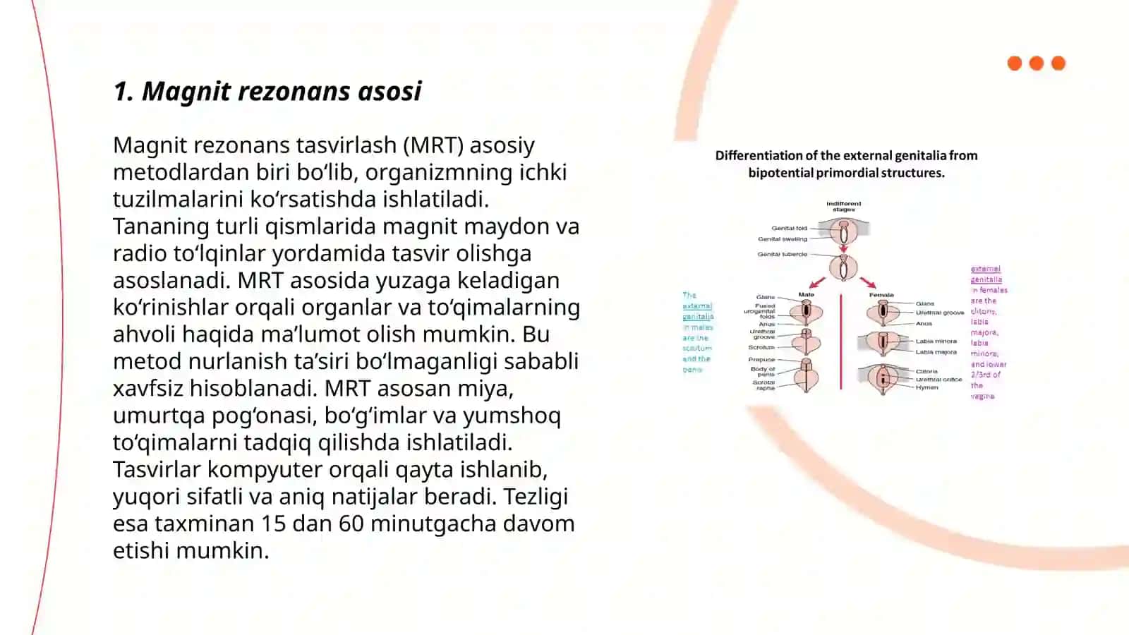 Magnit rezonans komputer tomografiyasining fizik xususiyatlari va qoʻllanishi 3
