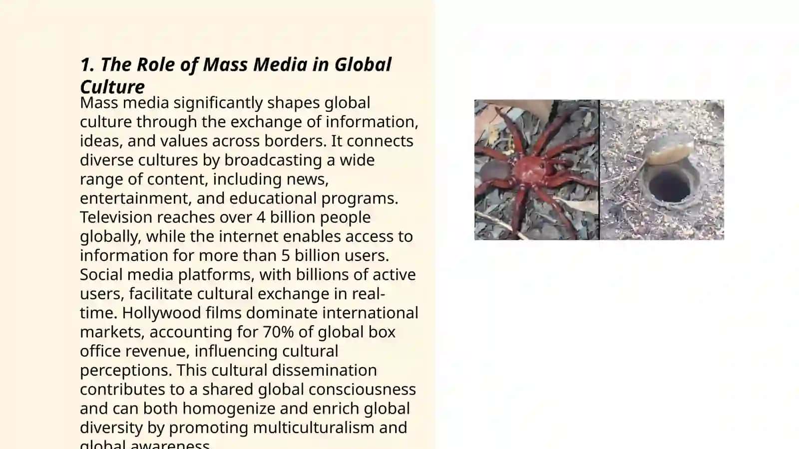 Mass Culture as a Tool for Globalization 3