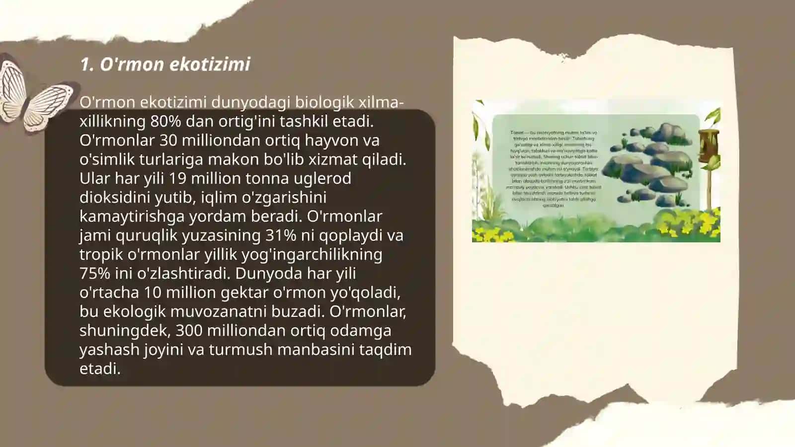 Tabiat bilan tanishtirish dasturi mazmuni 3