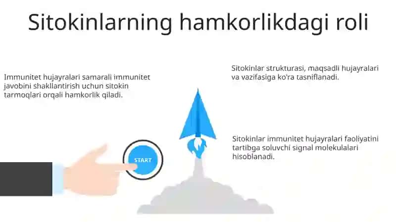 Sitokinlar klassifikatsiyasi 3