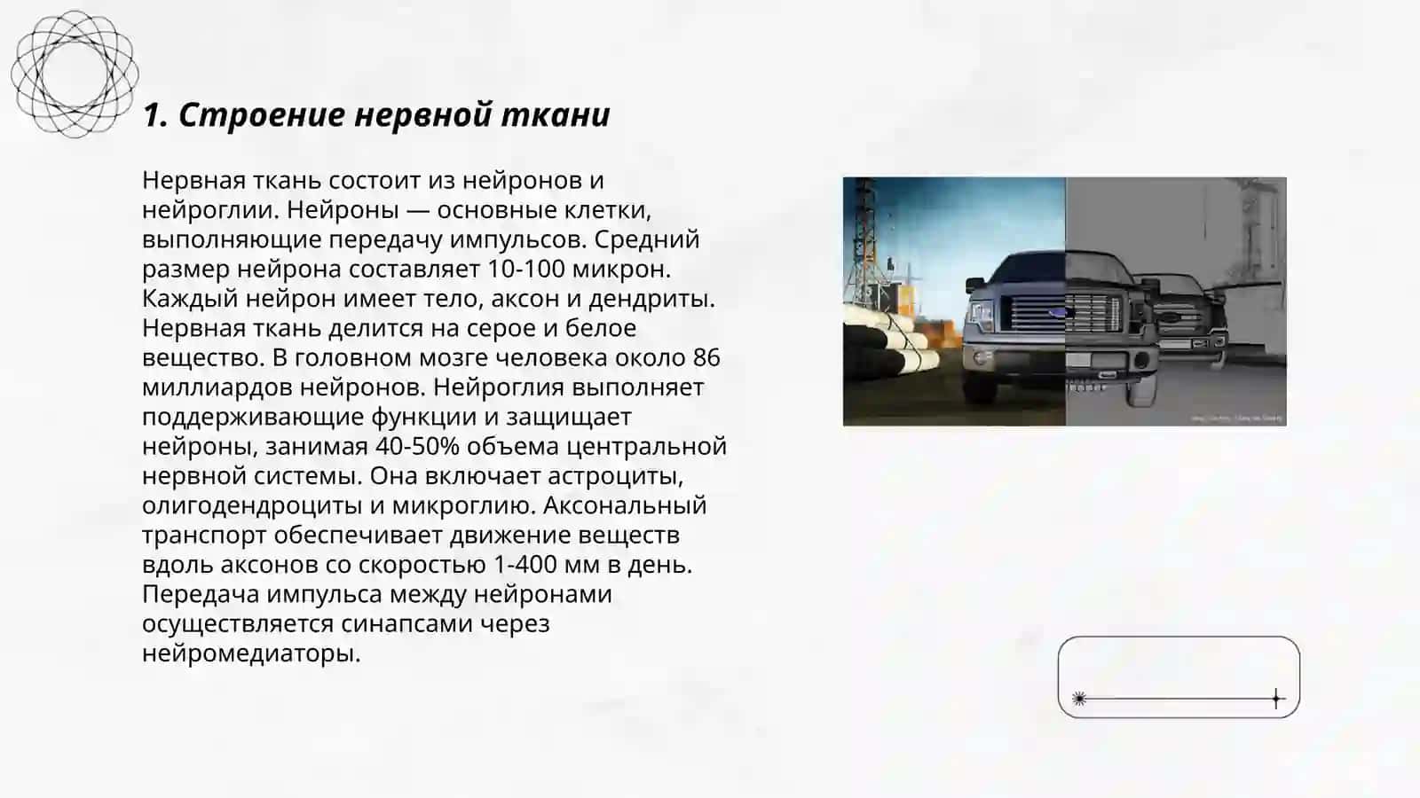 Нервная ткань 3