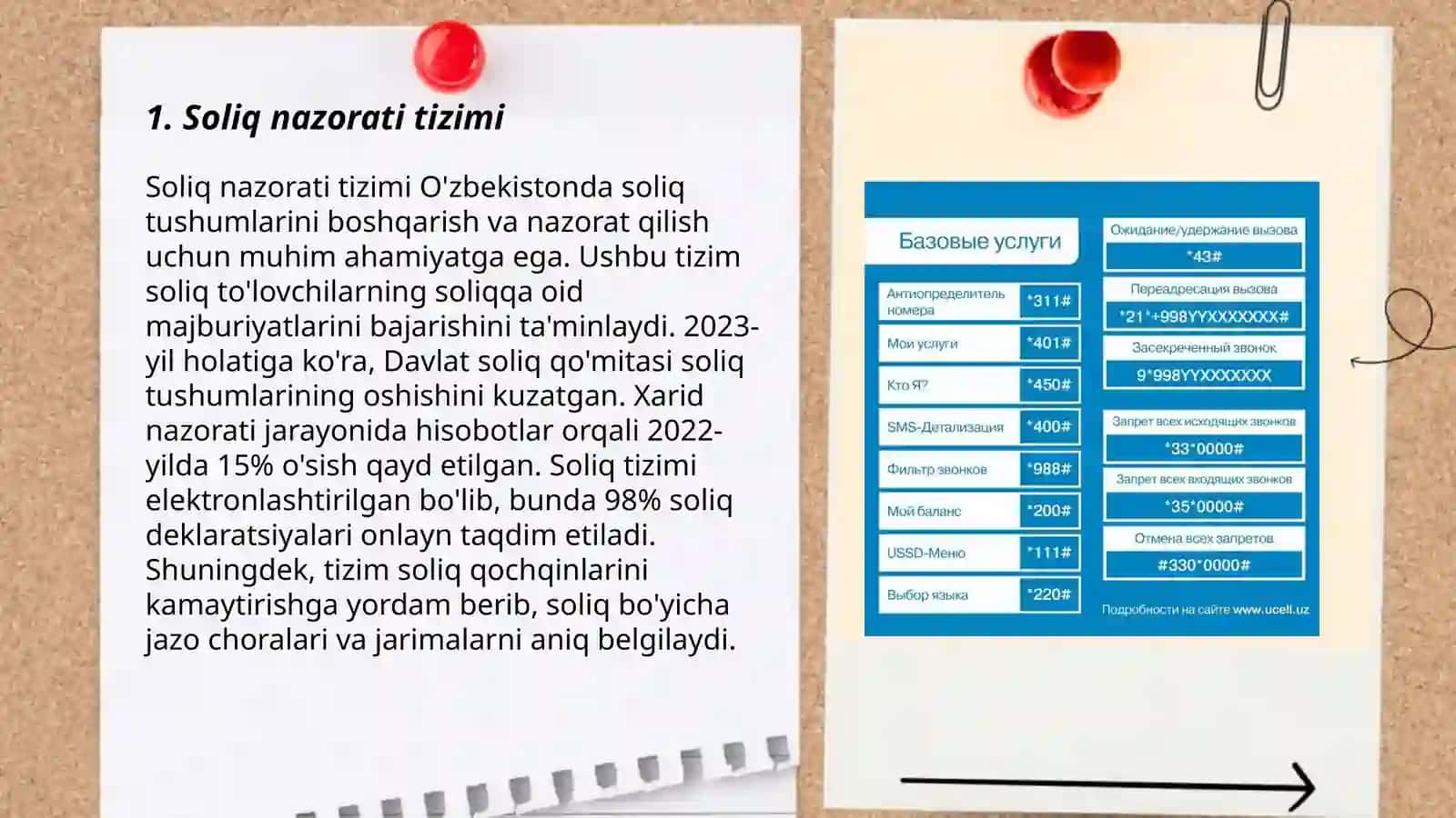 Soliq nazorati tizimi 3