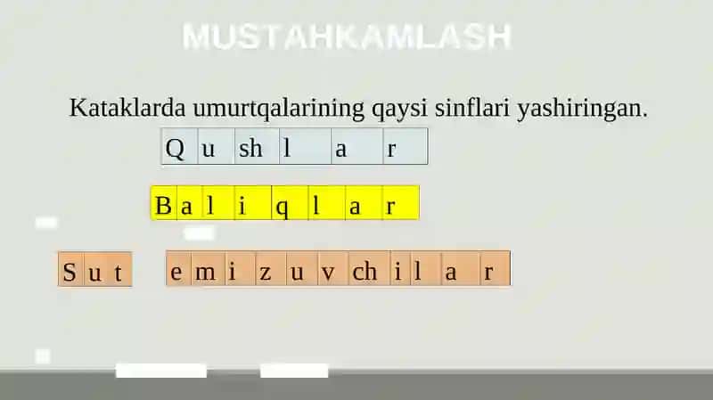 MAHMALOTLAR HAYOT SIKLINI O'RGANISH 3
