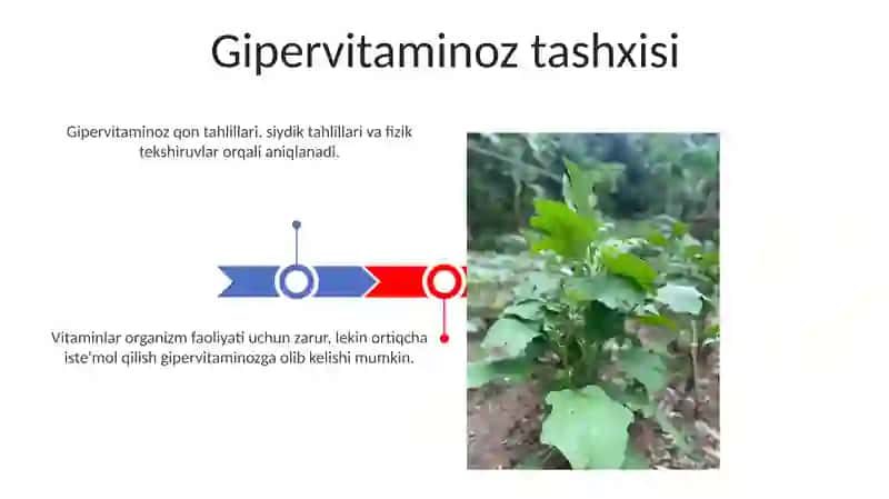 Gipervitaminózni aniqlash va boshqarish 3
