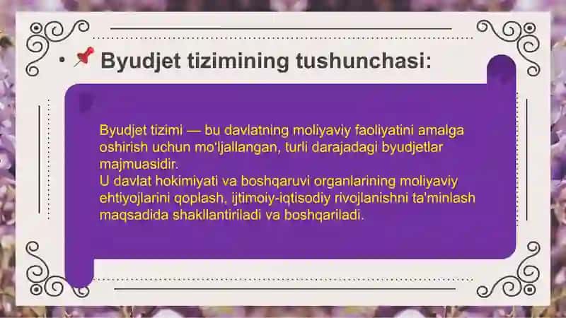Byudjet tizimi.Byudjetlarning mohiyati. 3