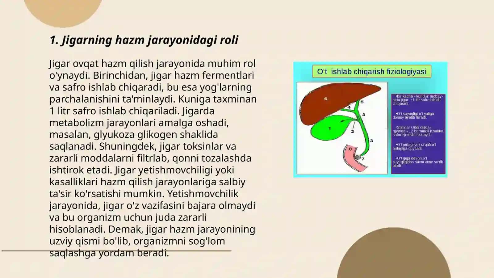 Jigarning hazm jjarayonidagi roli 3