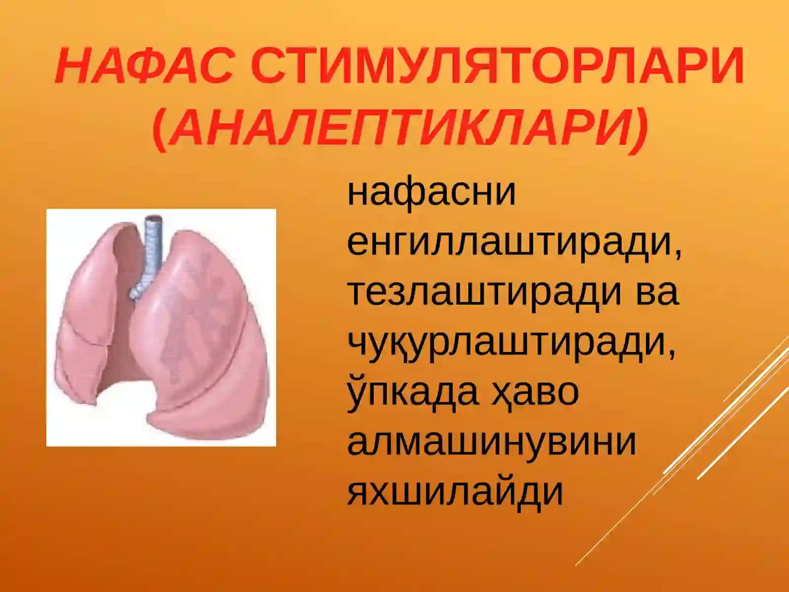 НАФАС АЪЗОЛАРИ ФАОЛИЯТИГА ТАЪСИР ЭТУВЧИ МОДДАЛАР 3