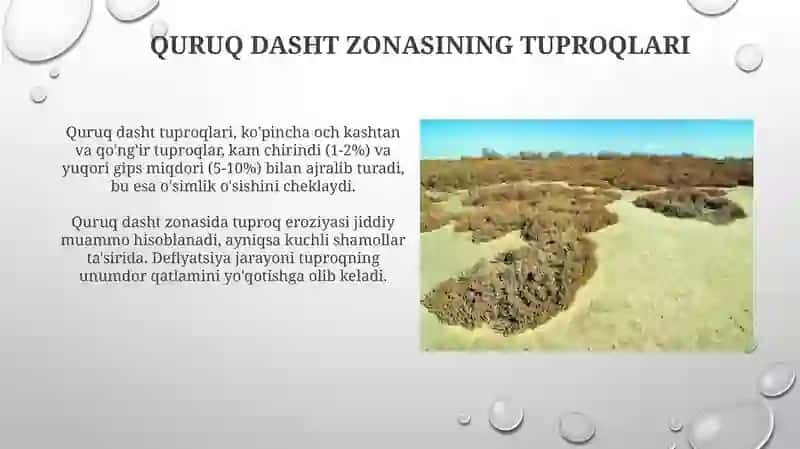 Quruq dasht zonasining tuproqlari 3