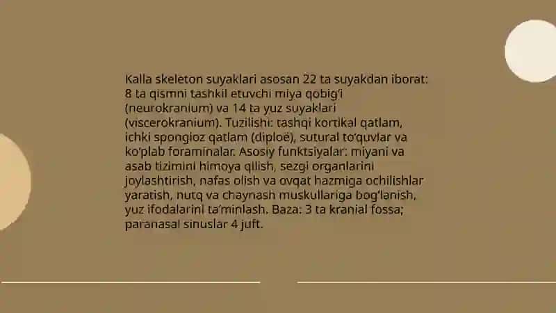 Kalla skeleton suyaklari 3