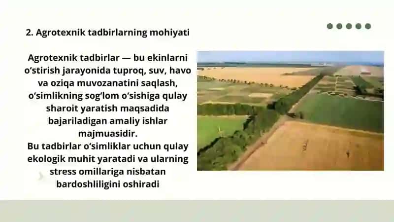 O‘simlik chidamligiga agrotexnik tadbirlarning ta’siri 3