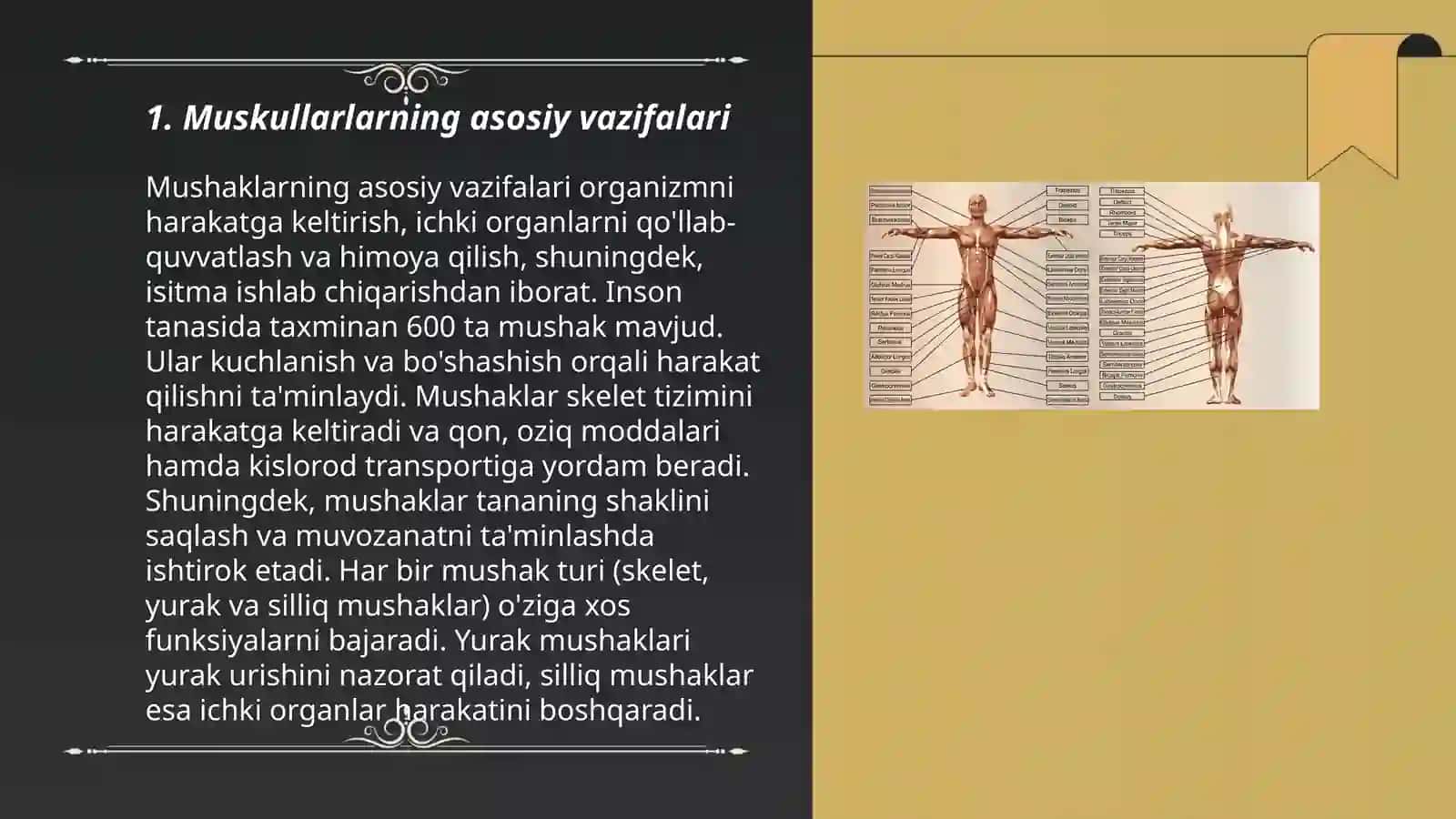 Muskullarning tuzulishi 3