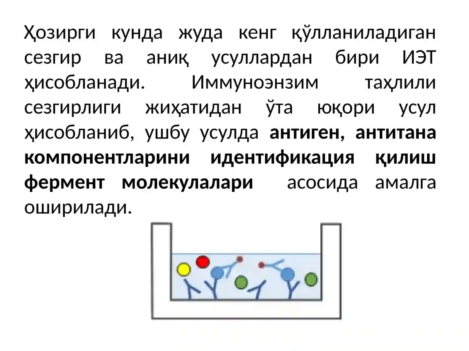 Ферментларни тезкор усулларда қўллаш 3