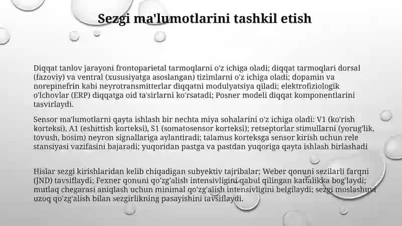 Diqqatning neyrofiziologiyasi 3