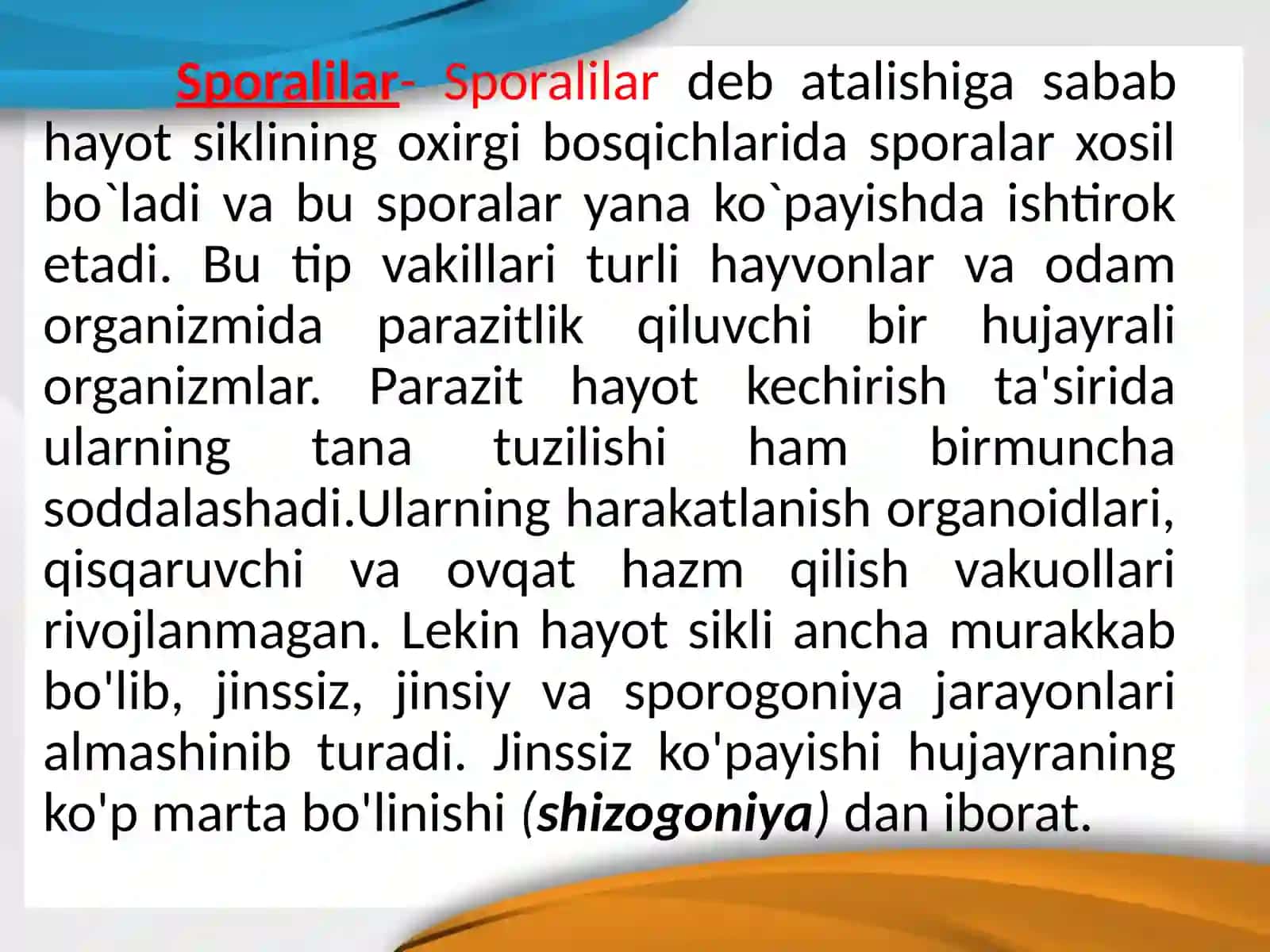 Sporalilar  tipi 3