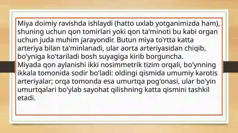 Bosh miyaning qon bilan taʼminlanishi 3