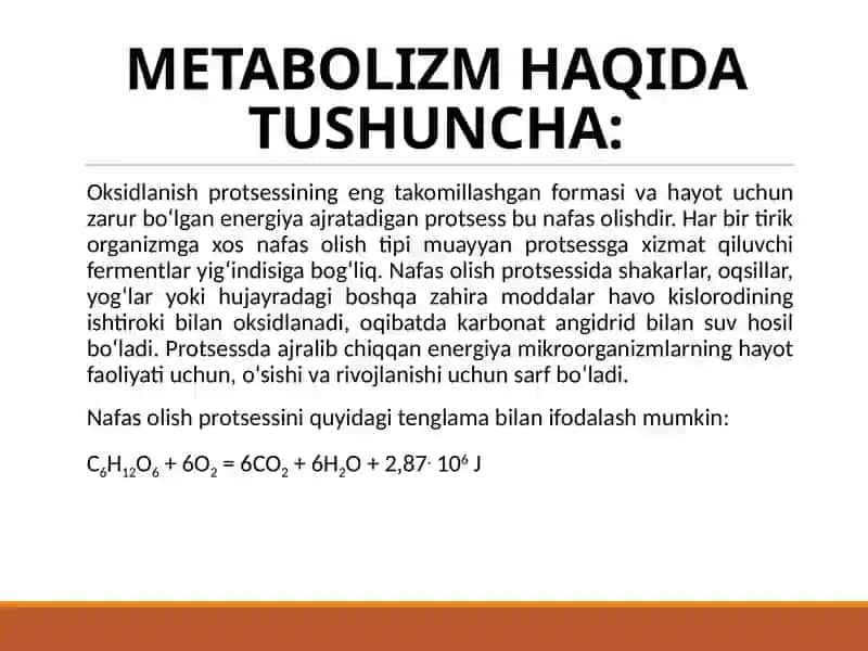 METABOLIZM 3