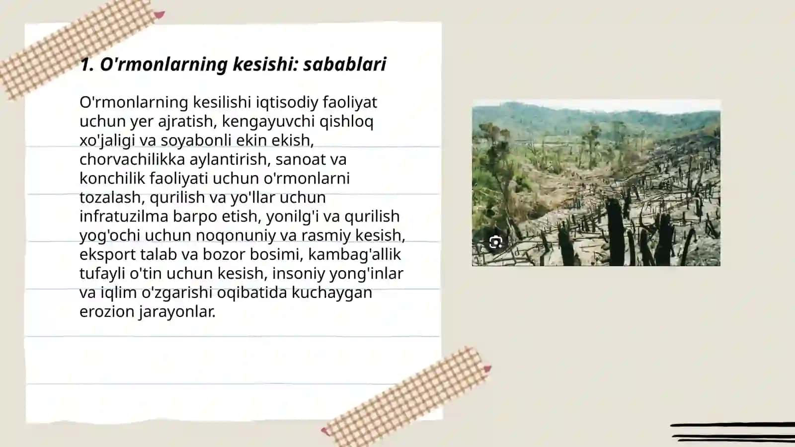 O'rmonlarning kesishi 3