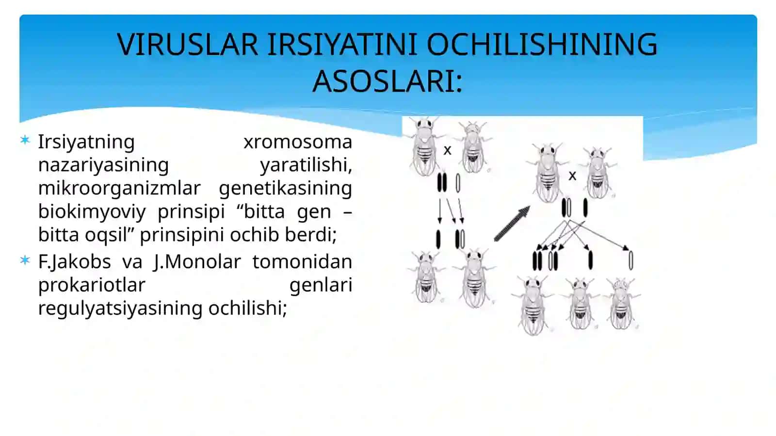 VIRUSLAR GENETIKASi 3