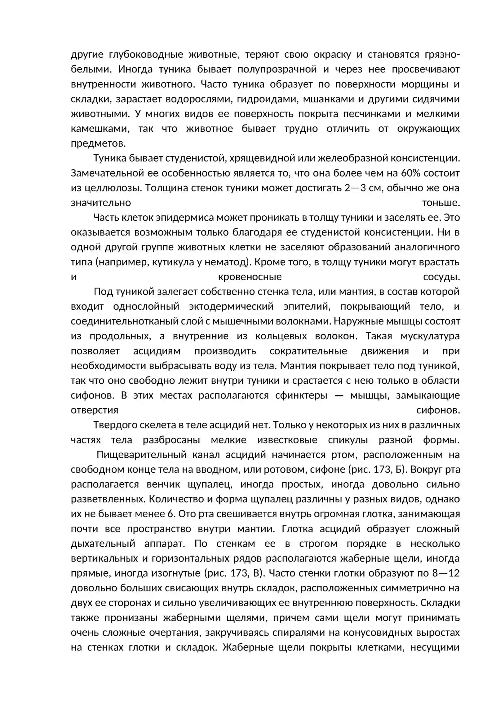 ТИП ОБОЛОЧНИКИ (TUNICAТА) 3