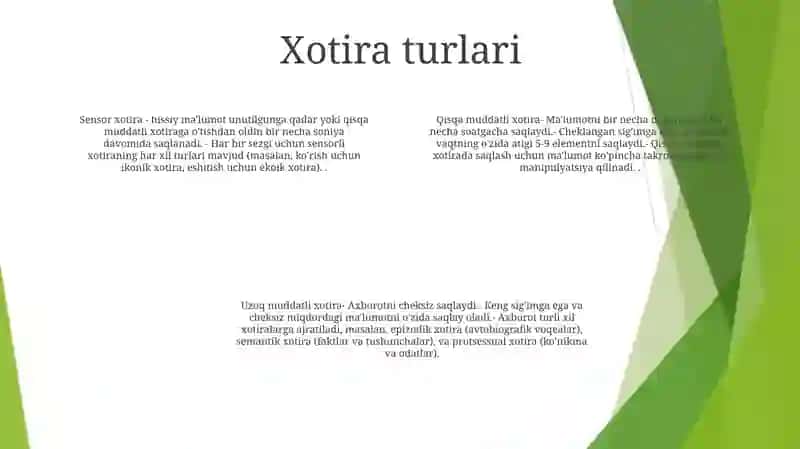 Xotira Haqida Tushuncha Uning Turlari 3