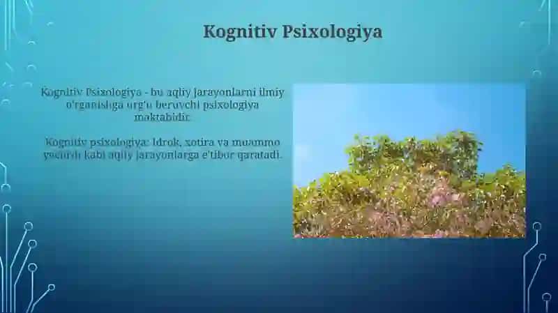 Psixologik maktablar 3