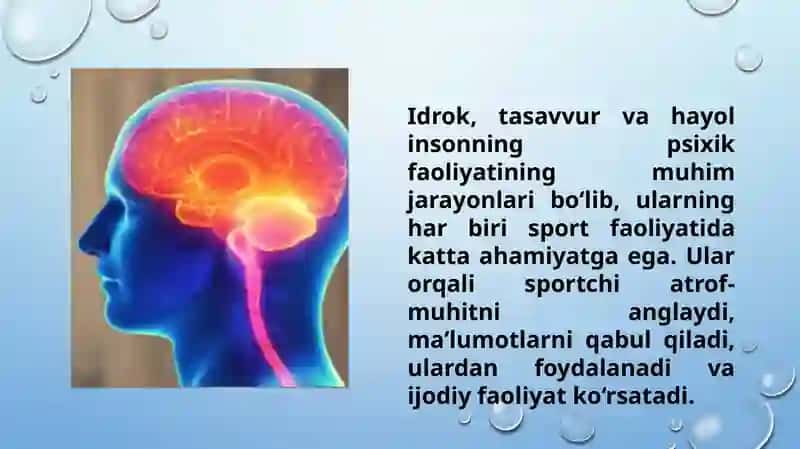 Idrok, tasavvur, hayol va uning sport faoliyatidagi roli (TAQDIMOT) 3