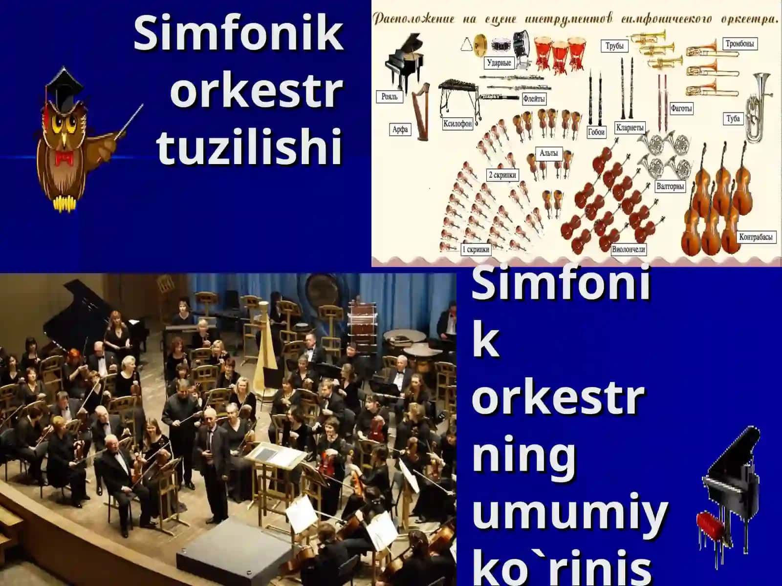 Simfonik orkestr va uning torli kamonli cholg`ular guruhi 3