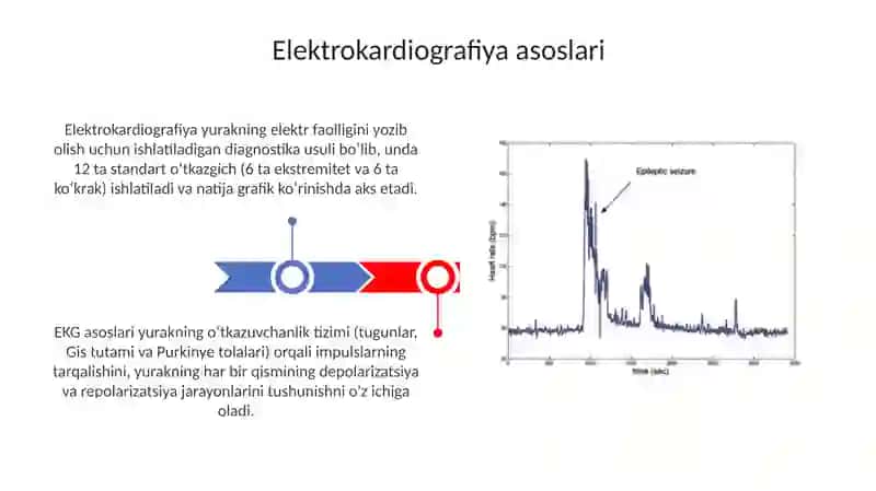 Elektrokardiografiya 3