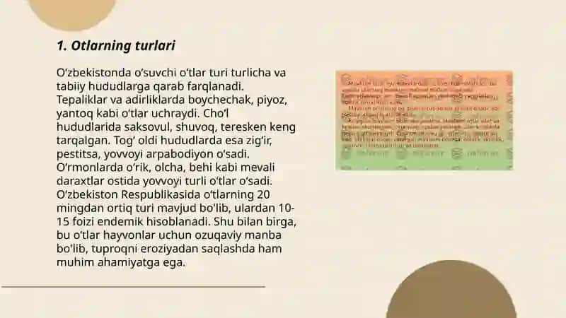 Ot so'z turkumi 3
